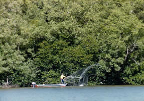 A fisherman throwing his net